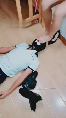 【丹丹】双S暴虐绿帽狗 bf1713_HD绳艺资源