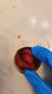 图片[3]_【茹雪】近距离虐狗嘴狗舌头 bf2340_HD绳艺资源