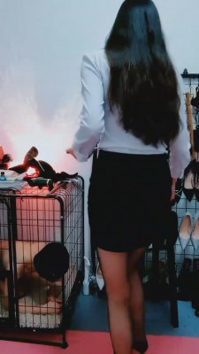 【云儿主】白领丝袜调狗笼圈养狗 bf2764_HD绳艺资源