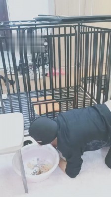 图片[2]_【依然】圈养的第一天 bf2875_HD绳艺资源