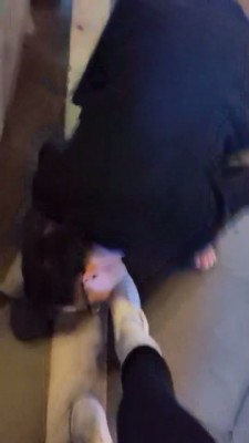 图片[4]_【虞姬的狗】给素人美女舔鞋磕头 bf3260_HD绳艺资源