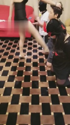 图片[6]_【丹祖宗】三只小狗互相争宠 bf3352_HD绳艺资源