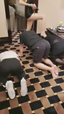 图片[8]_【丹祖宗】三只小狗互相争宠 bf3352_HD绳艺资源