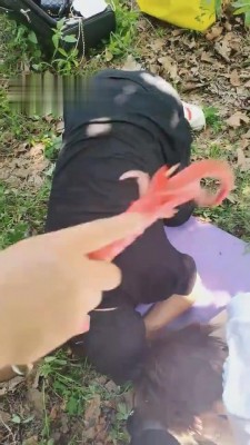 图片[2]_【乐爷】双S-野外把狗吊起来虐 G-210802-31_HD绳艺资源