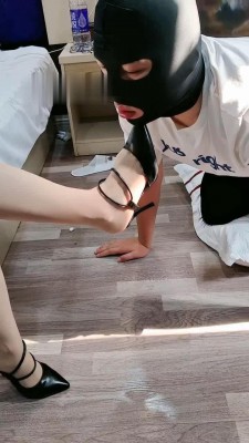 图片[5]_【郑州女神】狗狗早餐升水泡饭 bf15719_HD绳艺资源