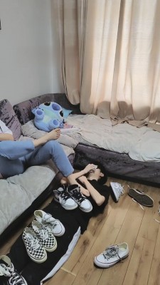 图片[6]_【圆圆S】训练第一次的小奶狗 bf15737_HD绳艺资源