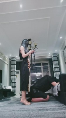 【猫神大人】打到狗写个服子为止 bf15920_HD绳艺资源