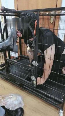 【西安欣】胯下的屈从-舔马丁靴/白袜深喉 bf16427_HD绳艺资源