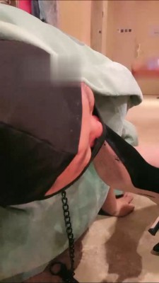 图片[10]_【维因or维妮or汐雯】多S群调绿帽废物狗【三视角版】_HD绳艺资源