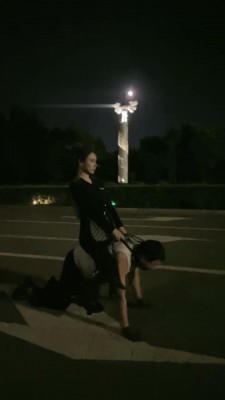 图片[2]_【妮可】夜间户外马路遛狗骑马 bf17158_HD绳艺资源