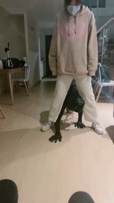 图片[5]_【小软】素人妹妹粉色棉袜辱狗 bf20151_HD绳艺资源