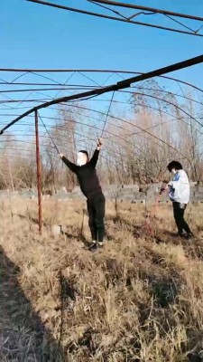 图片[2]_【长春小太阳】户外虐打采花大盗 bf20166_HD绳艺资源