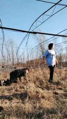 图片[5]_【长春小太阳】户外虐打采花大盗 bf20166_HD绳艺资源