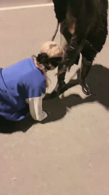 【洪兴十三妹】首次户外溜母狗【双视角版】 bf20234_HD绳艺资源