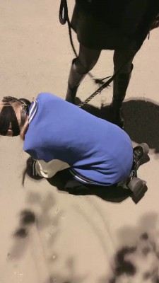 图片[4]_【洪兴十三妹】首次户外溜母狗【双视角版】 bf20234_HD绳艺资源