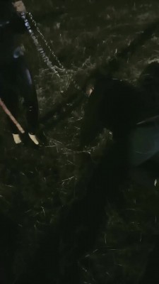 图片[3]_【高冷范毒祖宗S】户外草地绳艺技巧羞辱贱狗 bf20395_HD绳艺资源