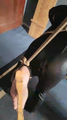 图片[4]_【东营天香百合】玩弄吊绑狗 bf20497_HD绳艺资源