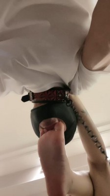 图片[9]_【萱萱】长靴御姐踩虐奶狗 bf20747_HD绳艺资源