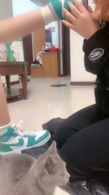 【全国最贱女M】双女奴舔脚专场【完整版】 bf20379_HD绳艺资源