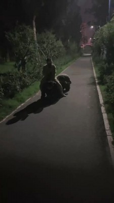 图片[5]_【暖暖】御姐野外溜双狗 bf20422_HD绳艺资源