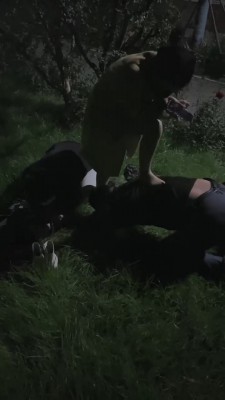 图片[7]_【暖暖】御姐野外溜双狗 bf20422_HD绳艺资源