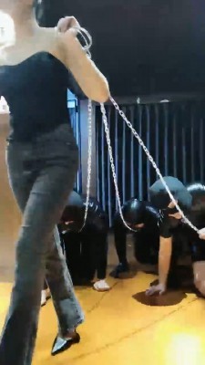 图片[9]_【药神】多只狗狗争抢舔脚 bf20480_HD绳艺资源