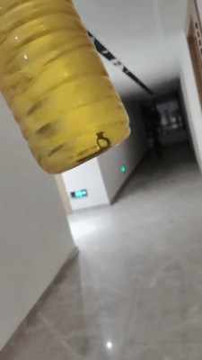 【药神】艺术老板闻臭袜专场 bf20898_HD绳艺资源