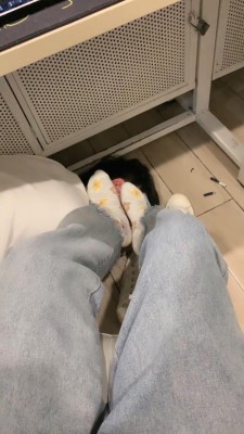 图片[2]_【嘟嘟】网吧专用舔脚狗 bf23549_HD绳艺资源