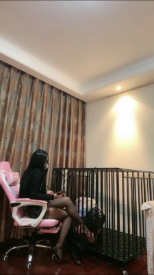 图片[2]_【桃幼幼】狗笼圈养/绳艺技巧虐打狗 bf23774_HD绳艺资源