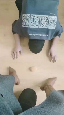 图片[2]_【辣姐】圈养两条狗撒气 bf23938_HD绳艺资源