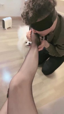 【爱神】浓痰裸足极度羞辱狗 bf23799_HD绳艺资源