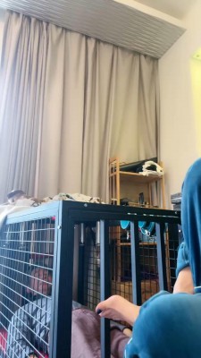 图片[4]_【一嬛】狗笼圈养生活 JS230210_HD绳艺资源