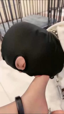 图片[10]_【简一】长腿车模狗笼圈养 bf24199_HD绳艺资源