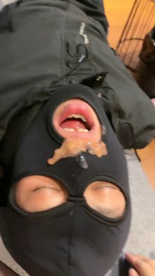 图片[4]_【泡芙大人】御姐原味黑丝调两只小奶狗【续集】 bf24368_HD绳艺资源