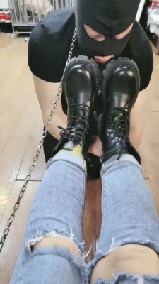 【西安欣】狗笼圈养喂食狗【双视角版】 bf24282_HD绳艺资源