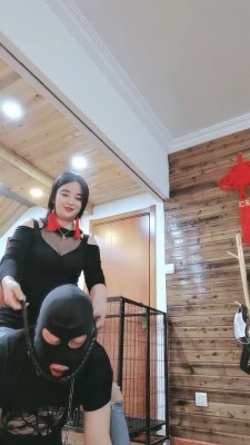 图片[2]_【西安欣】狗笼圈养喂食狗【双视角版】 bf24282_HD绳艺资源