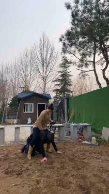 图片[2]_【星染】户外强迫狗舔超脏泥土鞋底/叼袜子遛狗【续集】 bf24629_HD绳艺资源