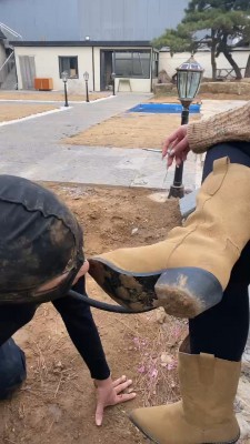 图片[6]_【星染】户外强迫狗舔超脏泥土鞋底/叼袜子遛狗【续集】 bf24629_HD绳艺资源