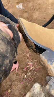 图片[8]_【星染】户外强迫狗舔超脏泥土鞋底/叼袜子遛狗【续集】 bf24629_HD绳艺资源