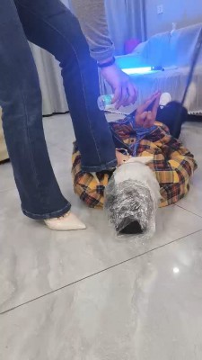 图片[10]_【紫烟】五花大绑艺术加官窒息/全体重踩踏【双视角版】 bf24644_HD绳艺资源