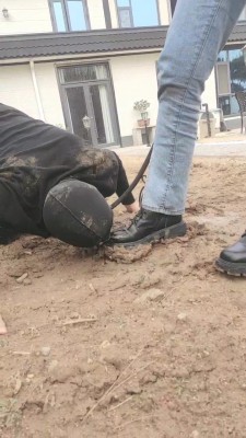 图片[3]_【辰辰】户外强迫狗舔超脏泥土鞋底 bf24624_HD绳艺资源