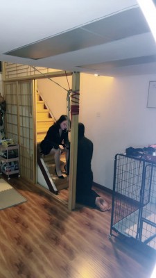 【十月】日式艺术训练室首调废物 bf24641_HD绳艺资源