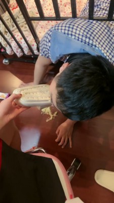 【桃幼幼】狗笼 圈养踩踏食物喂食/艺术深喉 bf24544_HD绳艺资源