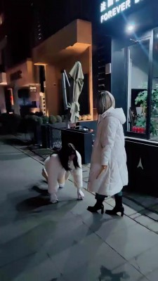 图片[3]_【鹤S】大街溜cd奴 bf24518_HD绳艺资源