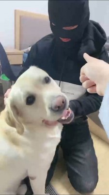 图片[3]_【小布丁S】人不如狗系列（一） bf25069_HD绳艺资源