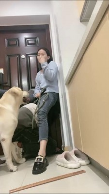 图片[5]_【小布丁S】人不如狗系列（一） bf25069_HD绳艺资源