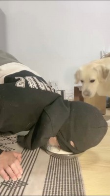 图片[3]_【小布丁S】人不如狗系列（二） bf25070_HD绳艺资源