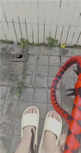 【囡囡】午后带贱狗天台晒太阳  JS23030108_HD绳艺资源