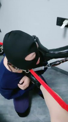 图片[3]_【玥S】3S艺术骑马遛狗 bf25176_HD绳艺资源