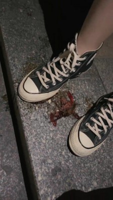 【万一】各种鞋子踩踏碾压小龙虾 bf25203_HD绳艺资源